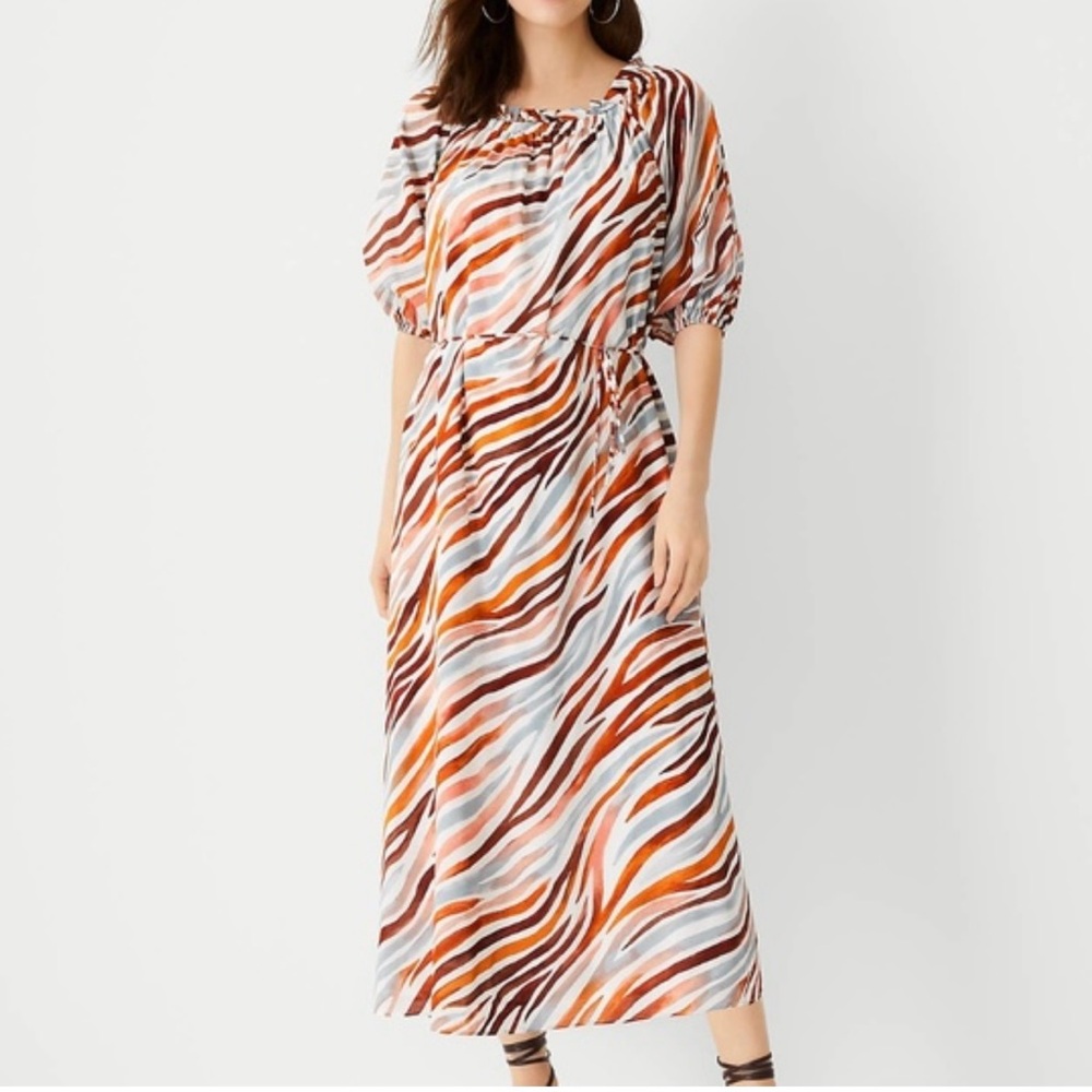 Ann Taylor Zebra Stripe Boatneck Midi Dress Medium Moroccan Spice